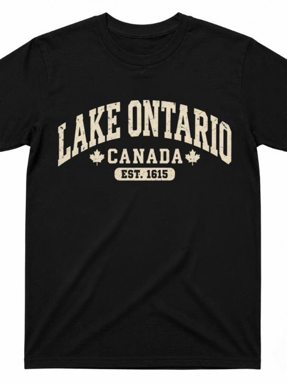 Black Gildan Lake Ontario Political USA